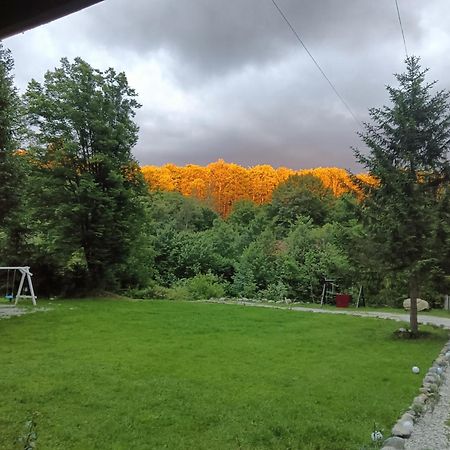 Pensiunea Vinatur Porumbacu de Sus Exteriér fotografie
