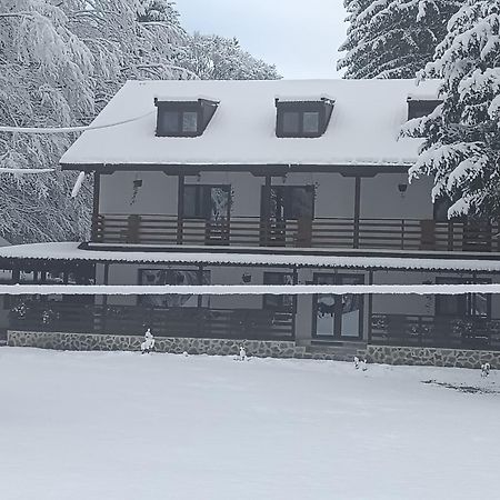 Pensiunea Vinatur Porumbacu de Sus Exteriér fotografie