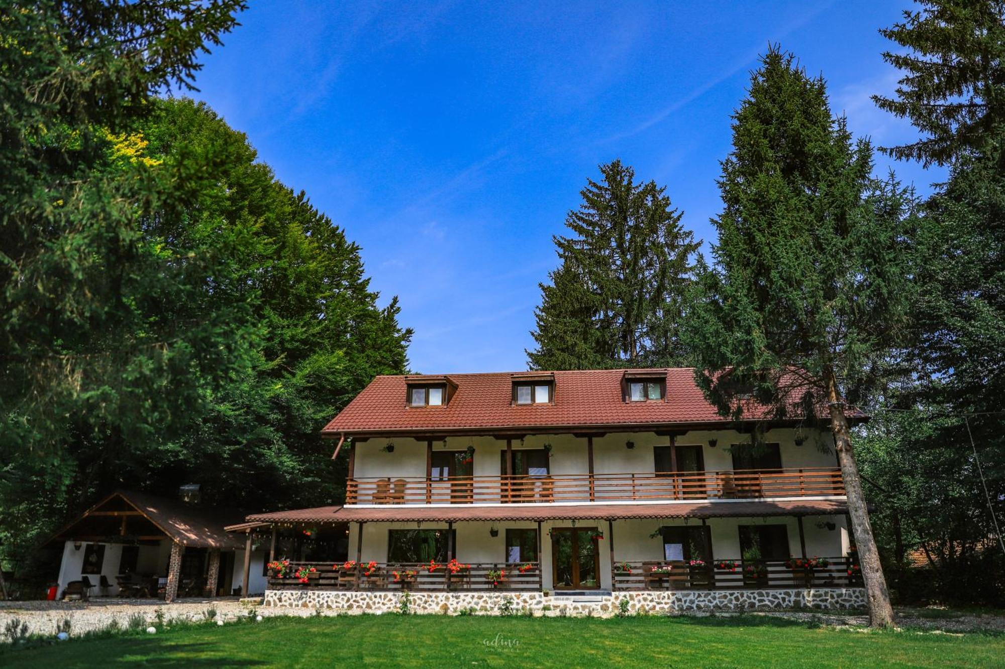 Pensiunea Vinatur Porumbacu de Sus Exteriér fotografie