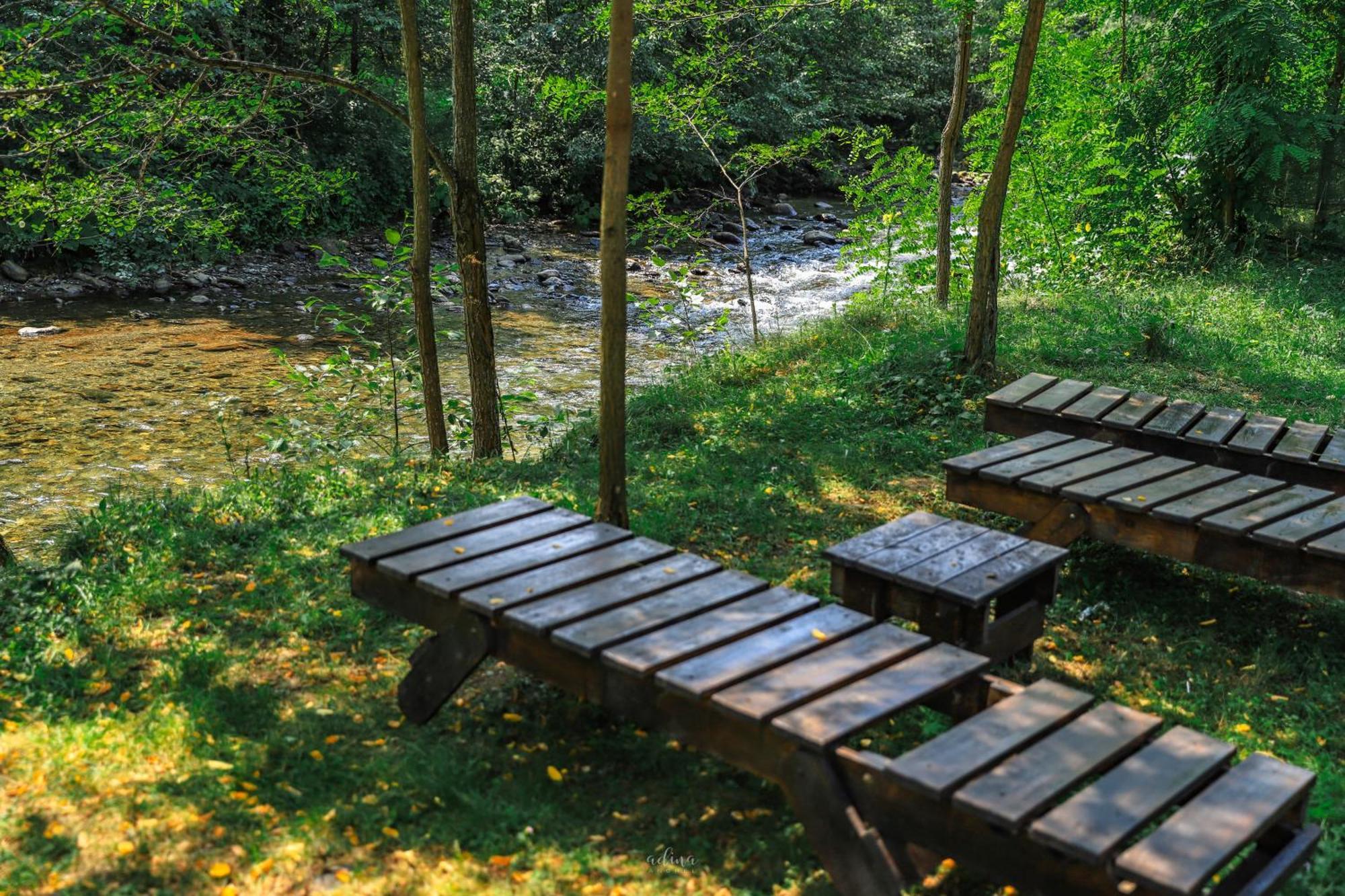 Pensiunea Vinatur Porumbacu de Sus Exteriér fotografie