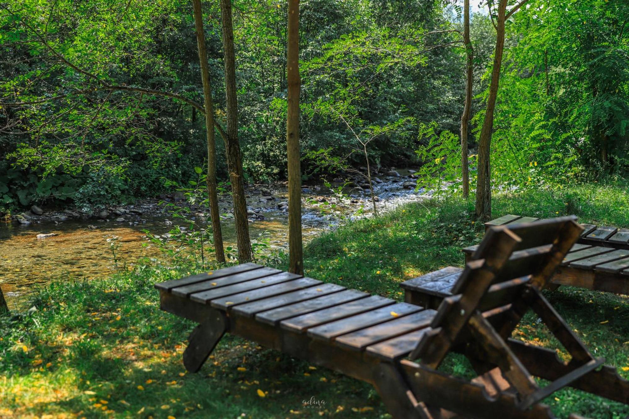 Pensiunea Vinatur Porumbacu de Sus Exteriér fotografie