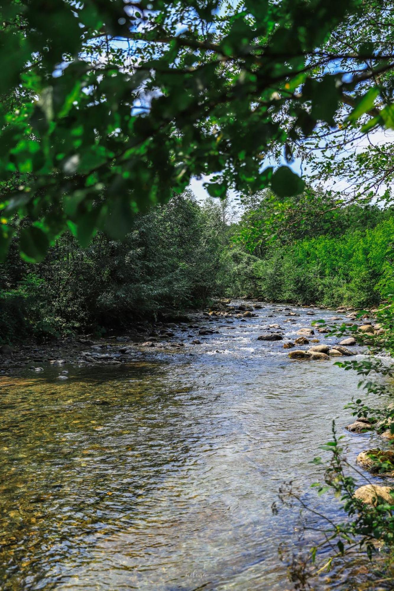 Pensiunea Vinatur Porumbacu de Sus Exteriér fotografie