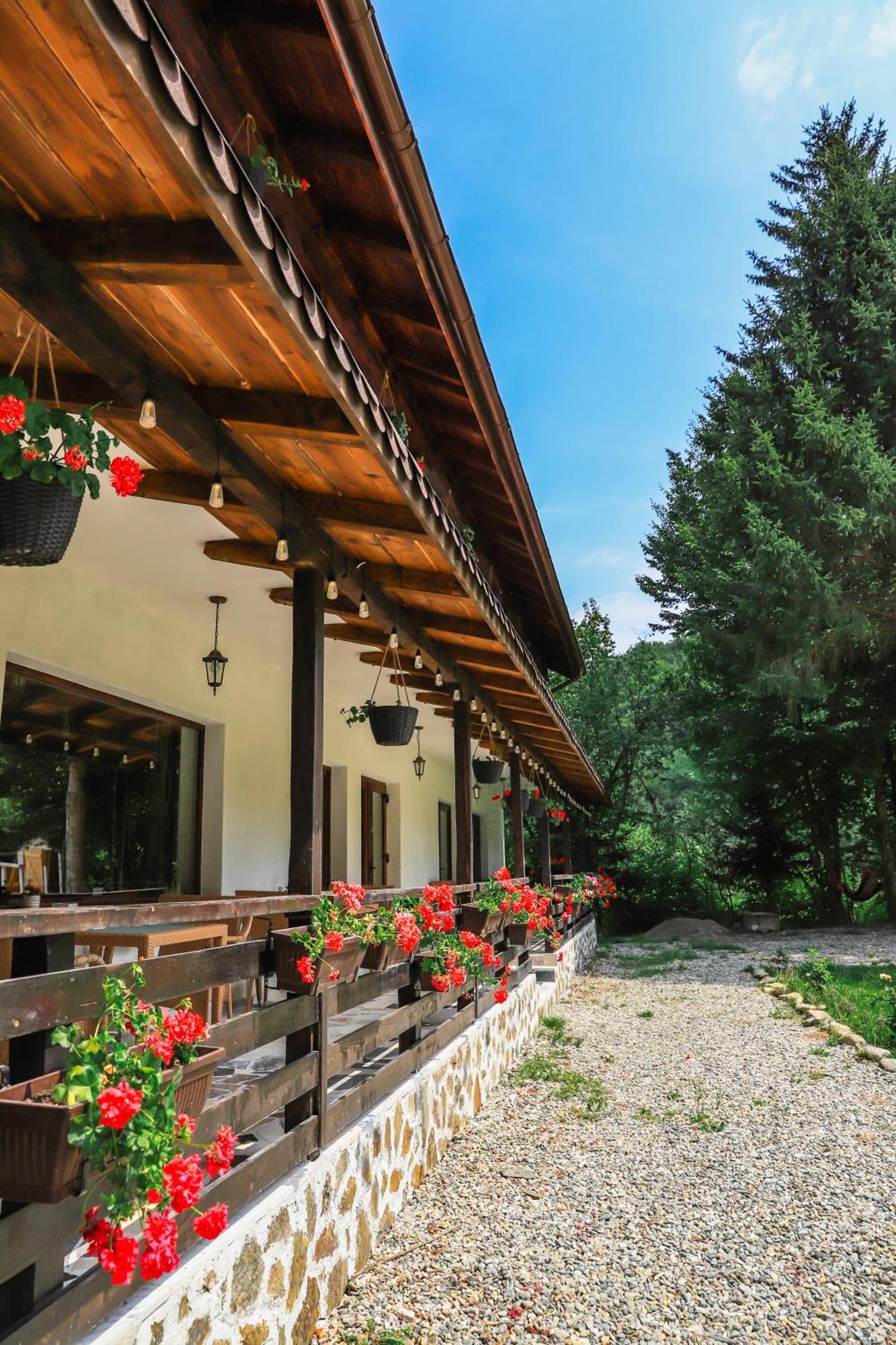 Pensiunea Vinatur Porumbacu de Sus Exteriér fotografie