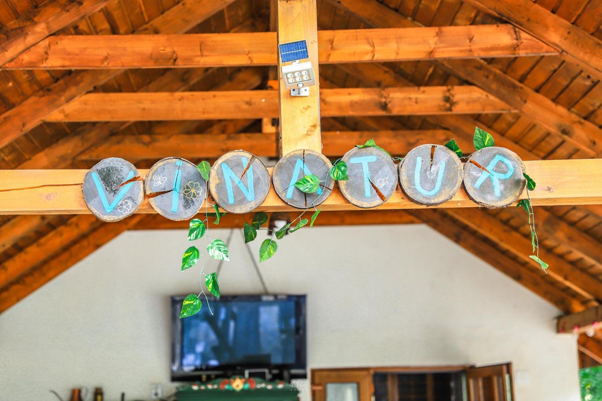 Pensiunea Vinatur Porumbacu de Sus Exteriér fotografie