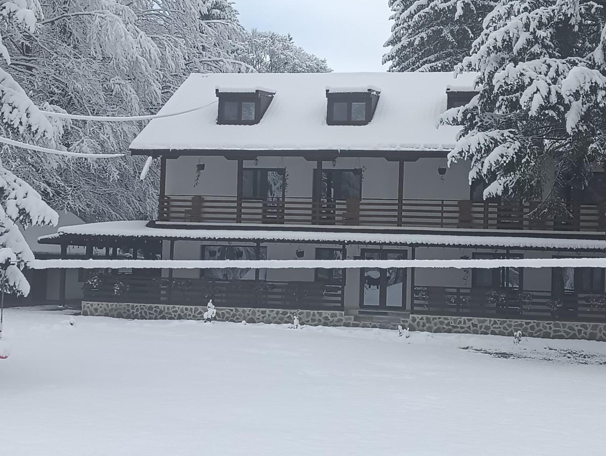 Pensiunea Vinatur Porumbacu de Sus Exteriér fotografie